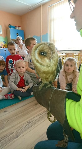 Kliknij na obrazku aby go powiekszyc