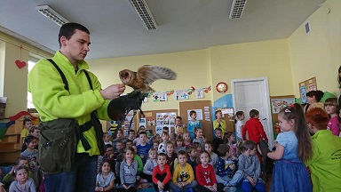 Kliknij na obrazku aby go powiekszyc