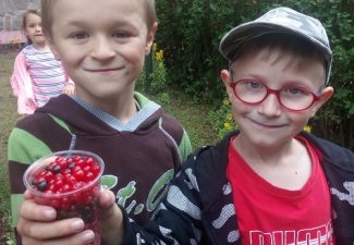 Porzeczki najlepiej smakują kiedy zbieramy je sami