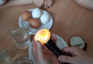 Doświadczenia z jajkiem.