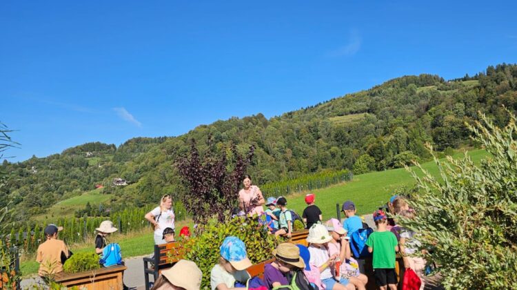 552311618_1305429961375596_8184344787127321790_n